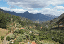 Pedra Menina Running Challenge está com inscrições abertas