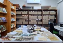 Mata Atlântica é representada por cartas, filmes e tecnologia