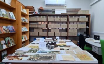 Mata Atlântica é representada por cartas, filmes e tecnologia