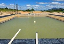 Empresa aposta em tecnologia na produção de mudas de café