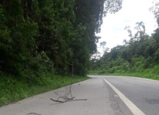 Programa Reluz na Estrada destaca proteção da fauna nas rodovias