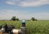Produtividade no campo melhora com três fatores Foto: divulgação/Netafim