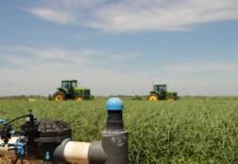 Produtividade no campo melhora com três fatores Foto: divulgação/Netafim