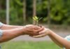 Feira Verde 2026 em Cachoeiro: Sustentabilidade e Inovação